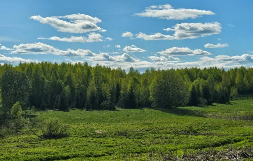 Выберем земли́ под дом, чтоб уютно было в нём