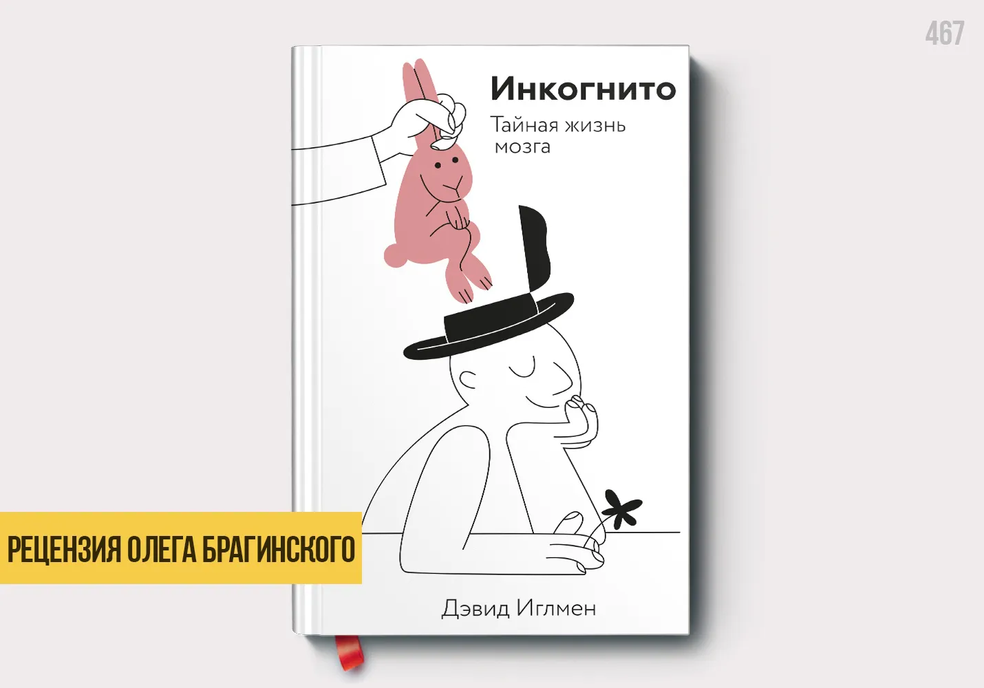 Рецензия на книгу «Инкогнито»