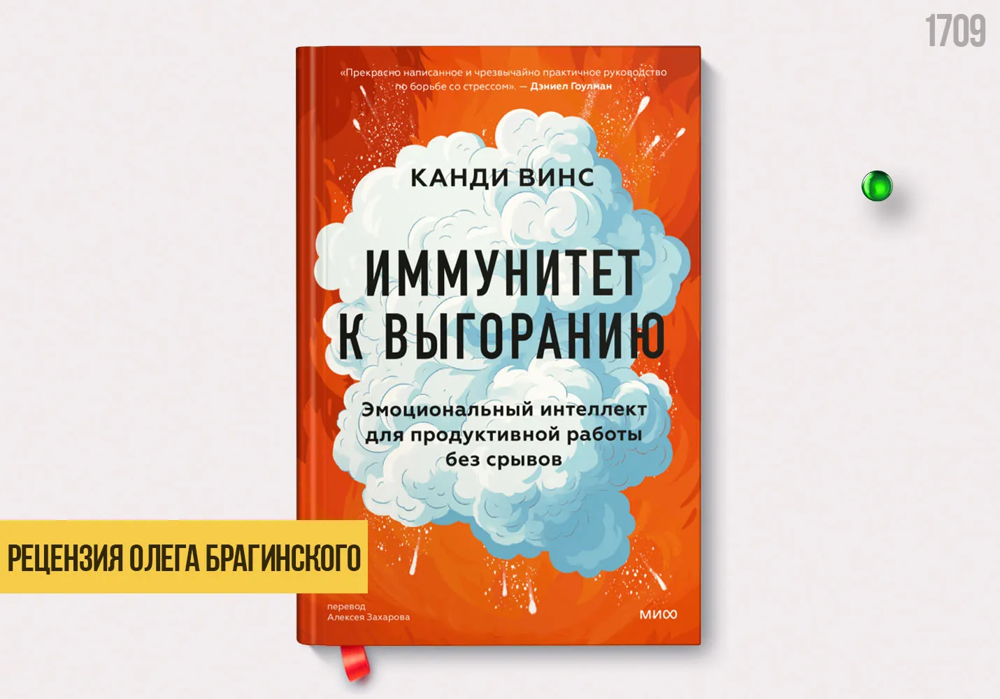 Рецензия на книгу «Иммунитет к выгоранию»