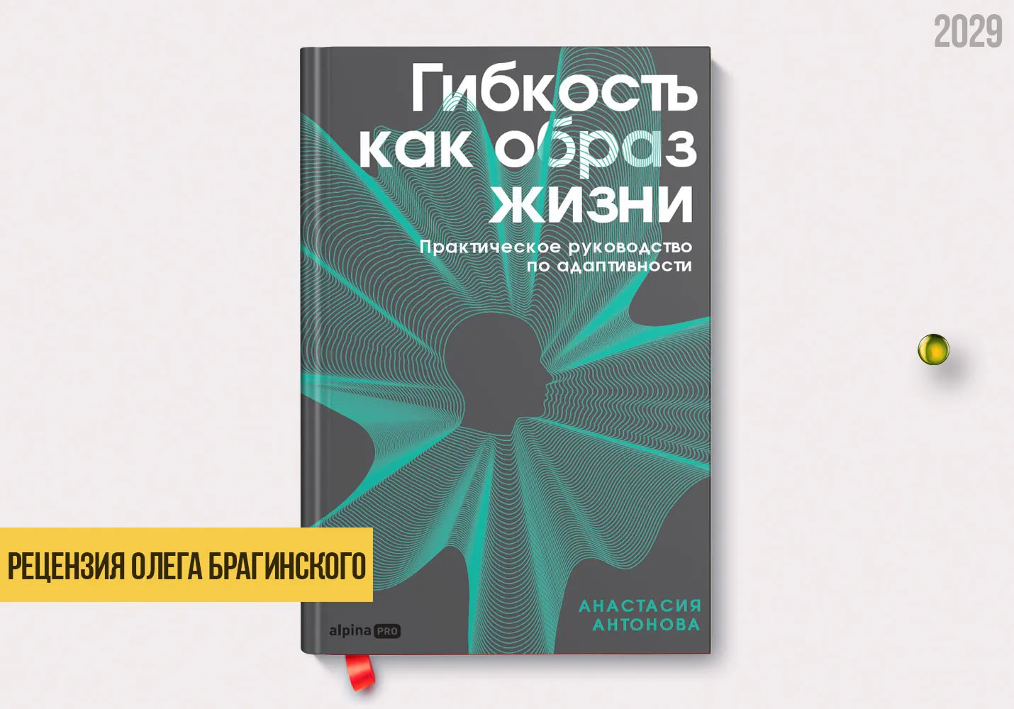 Рецензия на книгу «Гибкость как образ жизни»