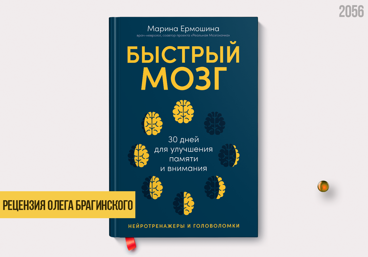 Рецензия на книгу «Быстрый мозг»